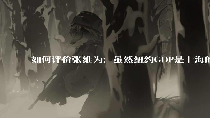 如何评价张维为：虽然纽约GDP是上海的4倍，但上海生活水平已好于纽约?